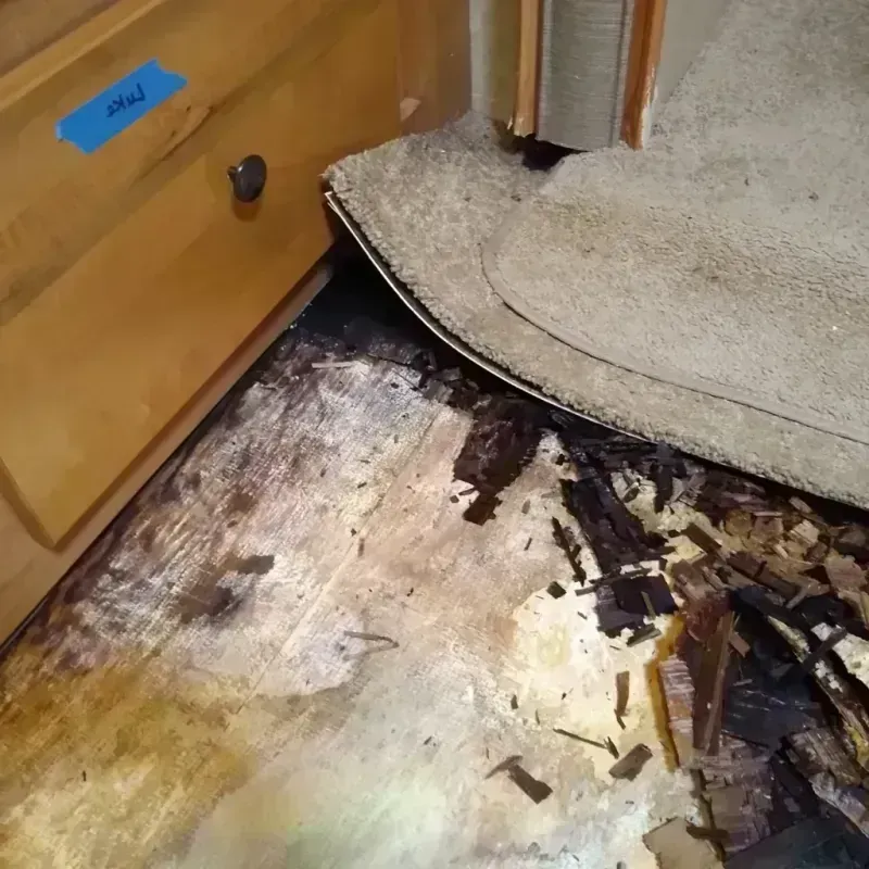 Wood Floor Water Damage in Bellaire, TX